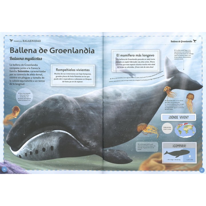 El magnífico libro de las ballenas