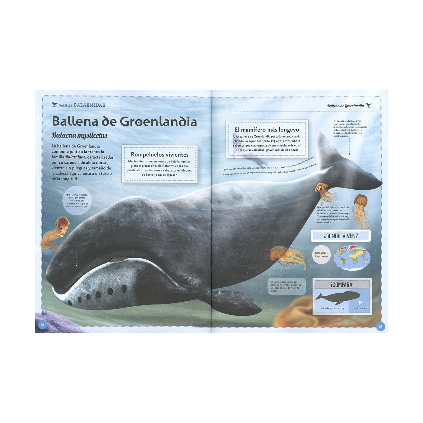 El magnífico libro de las ballenas