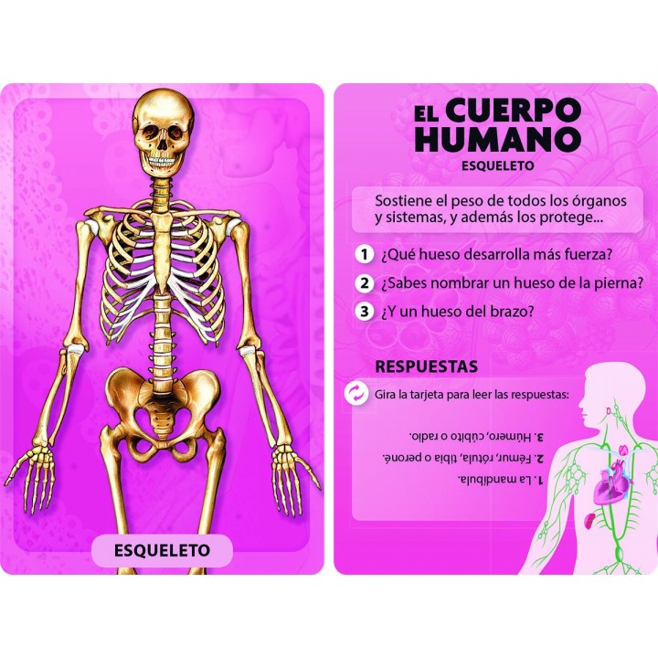 Descubro y Juego - El Cuerpo Humano