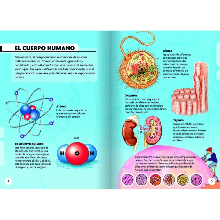 Descubro y Juego - El Cuerpo Humano