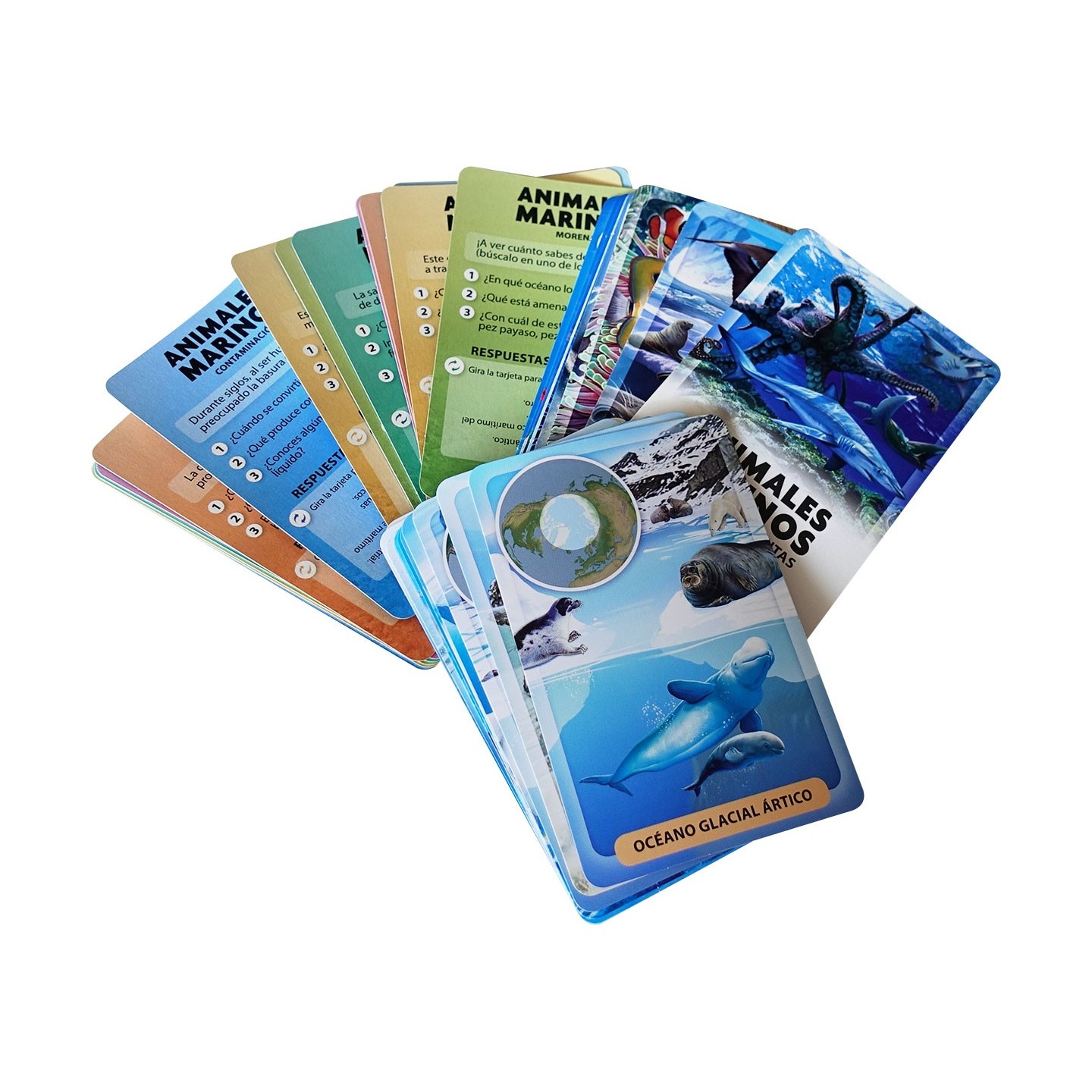 Descubro y Juego - Animales Marinos