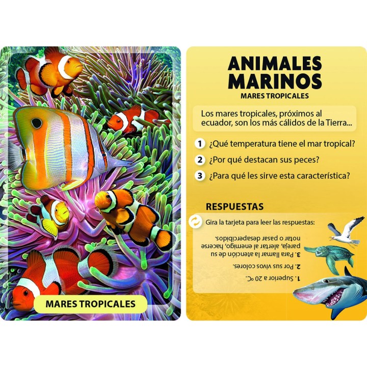 Descubro y Juego - Animales Marinos