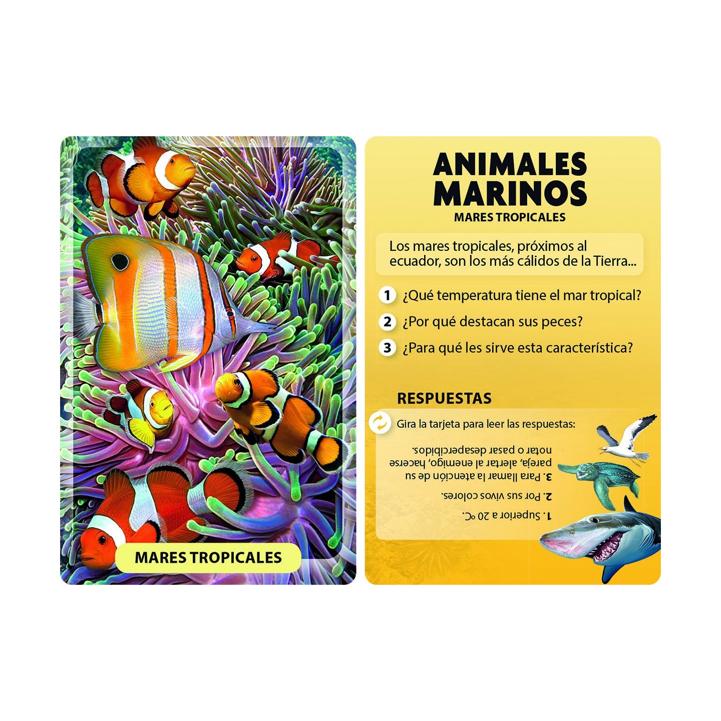 Descubro y Juego - Animales Marinos
