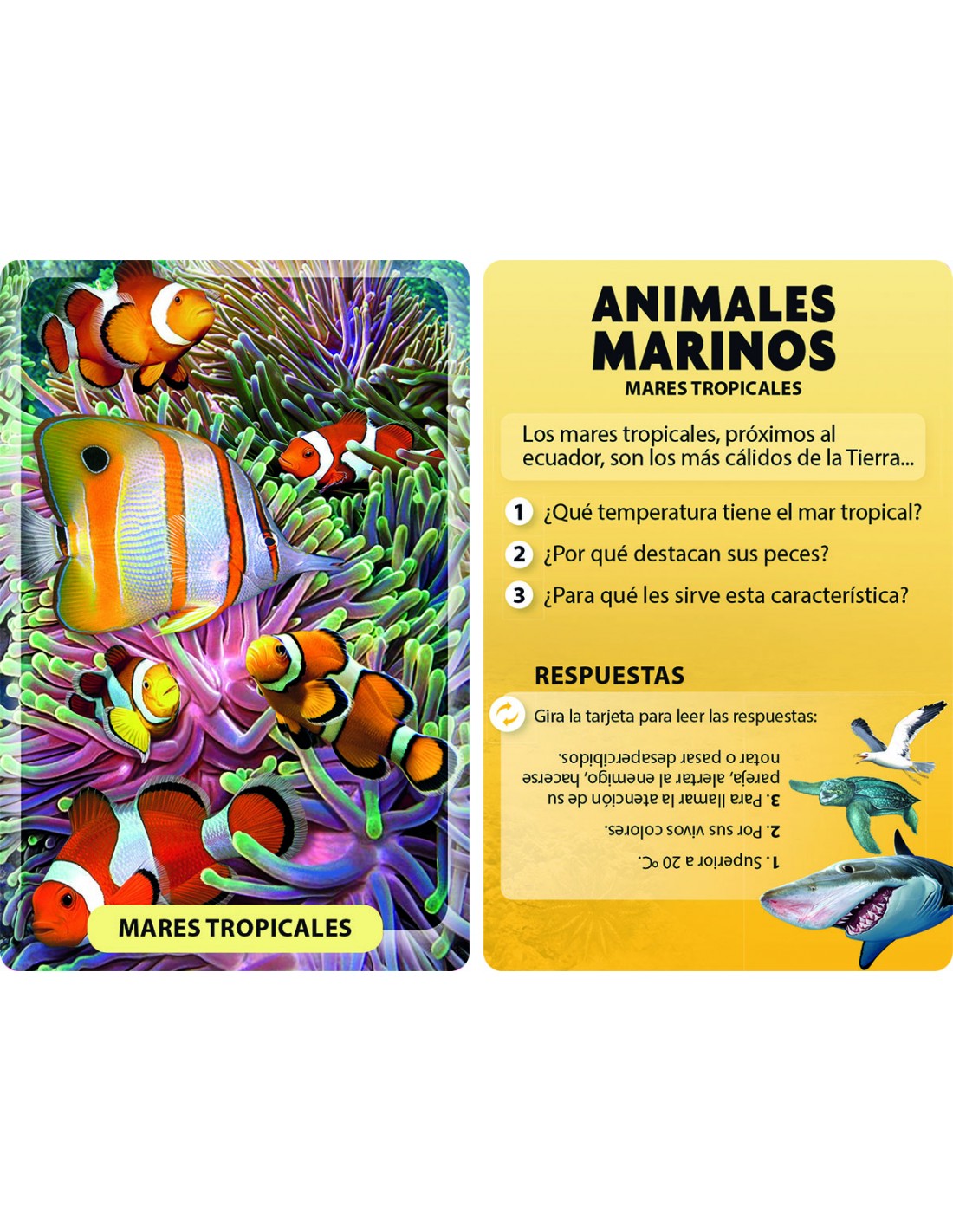Descubro y Juego - Animales Marinos
