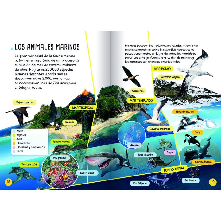 Descubro y Juego - Animales Marinos