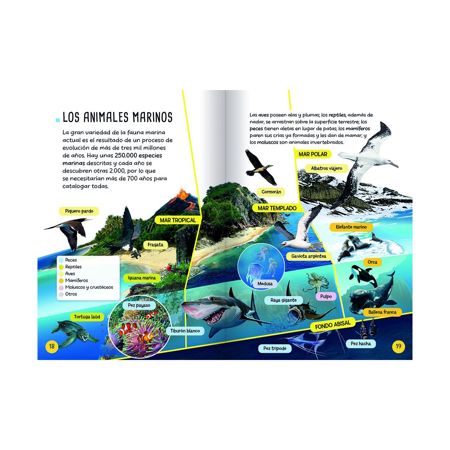Descubro y Juego - Animales Marinos
