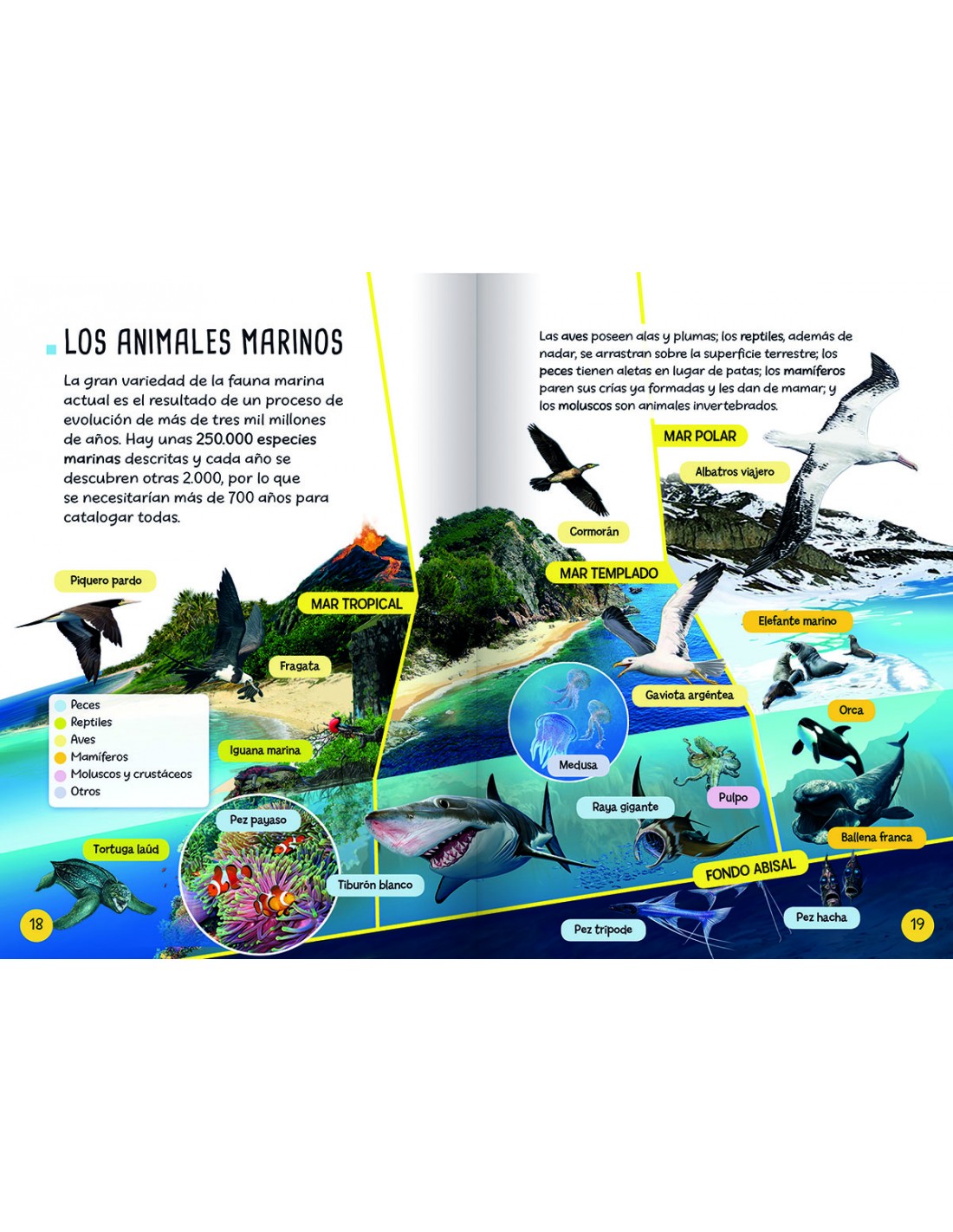 Descubro y Juego - Animales Marinos