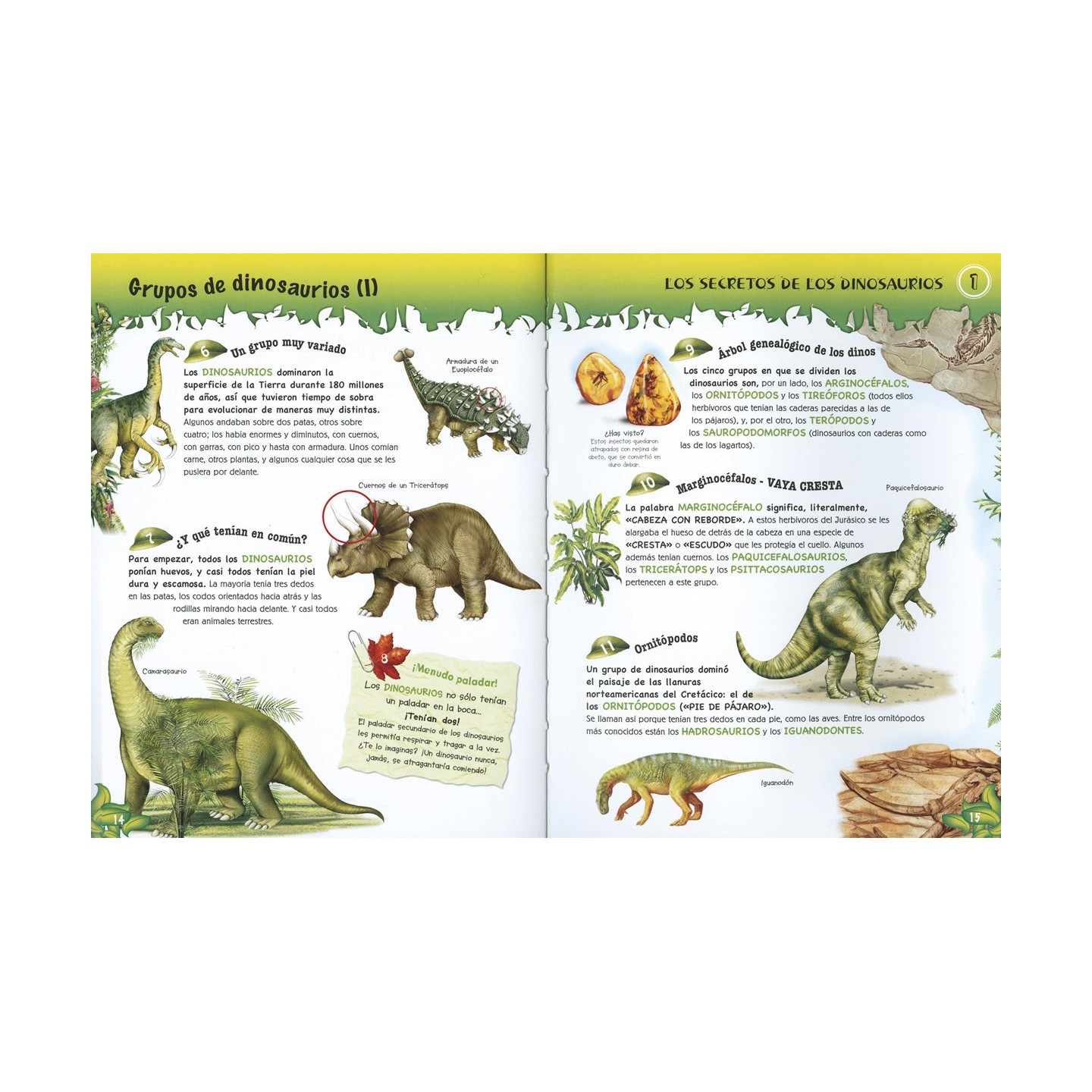 500 Preguntas y Respuestas sobre Dinosaurios
