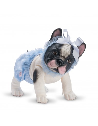 Lily La Bulldog Braguita Azul Estrellas