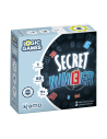 Secret Number