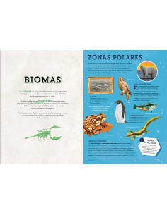 Animales asombrosos: Un recorrido fascinante por la biodiversidad 2