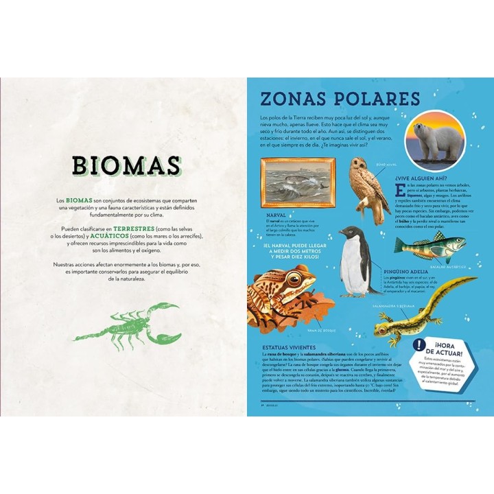Animales asombrosos: Un recorrido fascinante por la biodiversidad