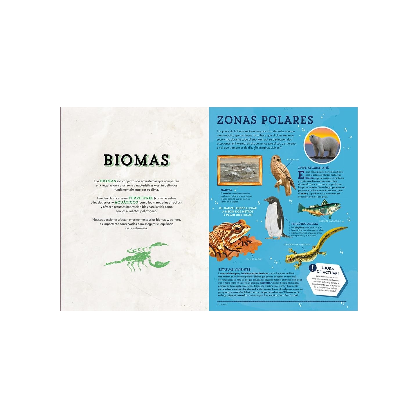 Animales asombrosos: Un recorrido fascinante por la biodiversidad