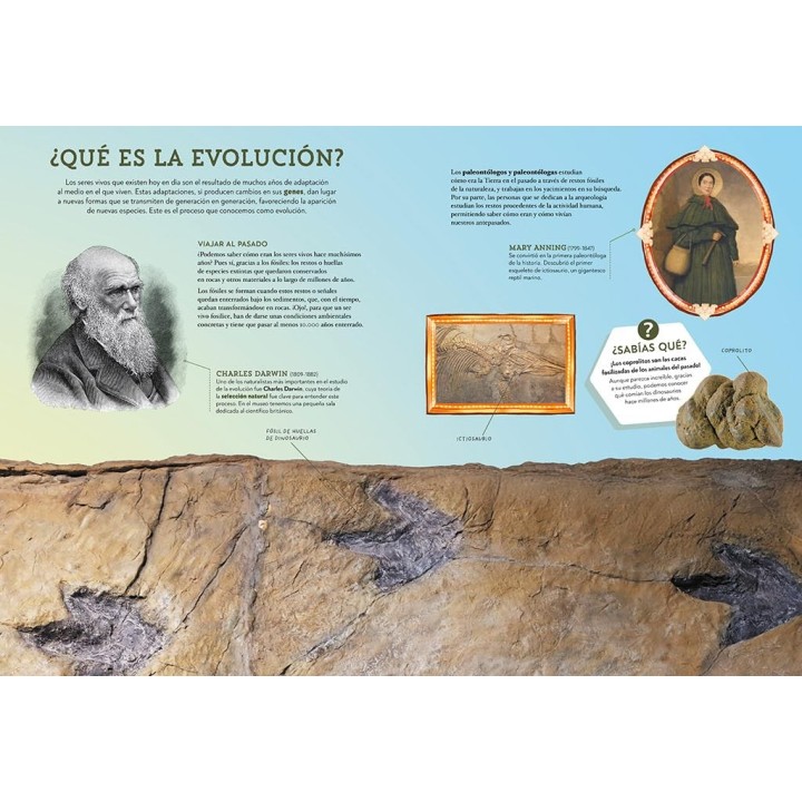 Animales asombrosos: Un recorrido fascinante por la biodiversidad