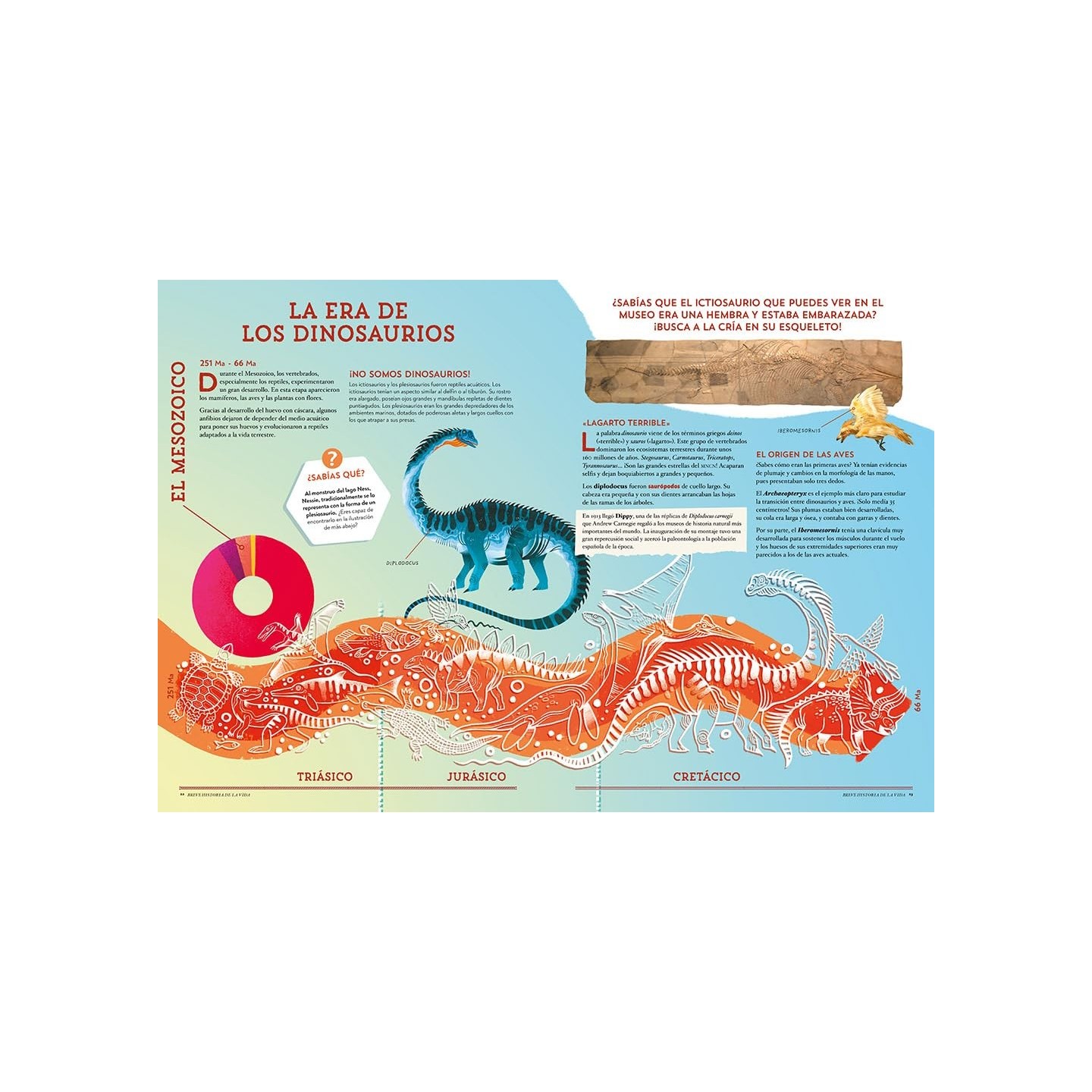 Animales asombrosos: Un recorrido fascinante por la biodiversidad