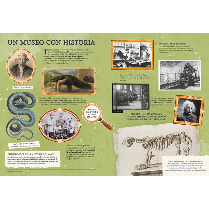 Animales asombrosos: Un recorrido fascinante por la biodiversidad