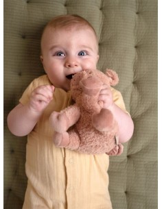 Peluche Cerdito 17 cms 2