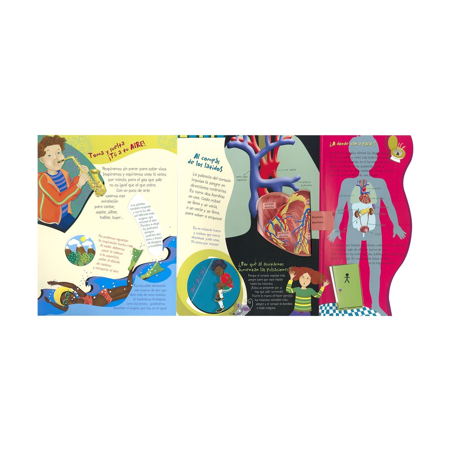 Descubre el Cuerpo Humano