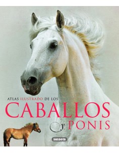 Caballos y Ponis