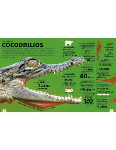 El mundo en números. Animales 2
