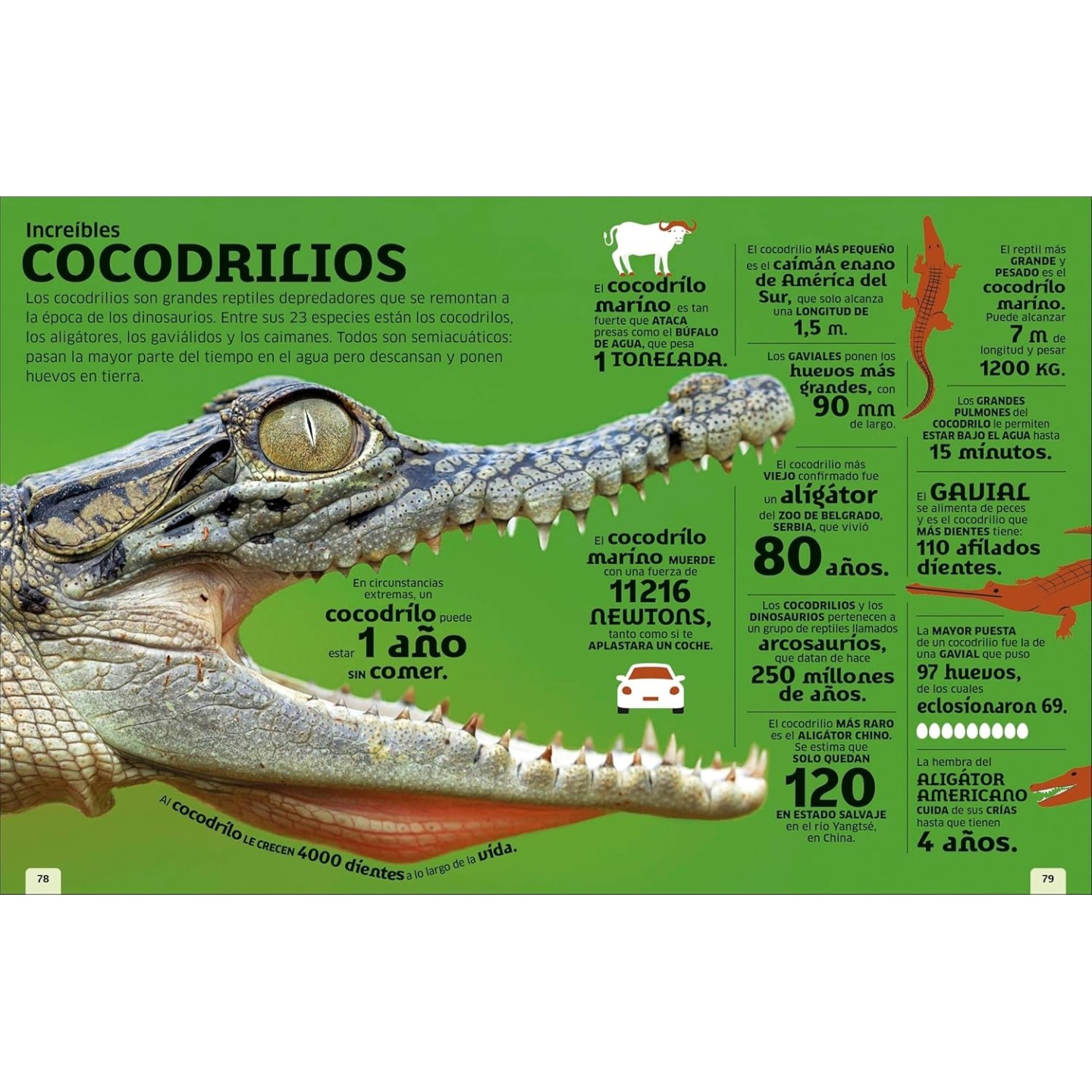 El mundo en números. Animales
