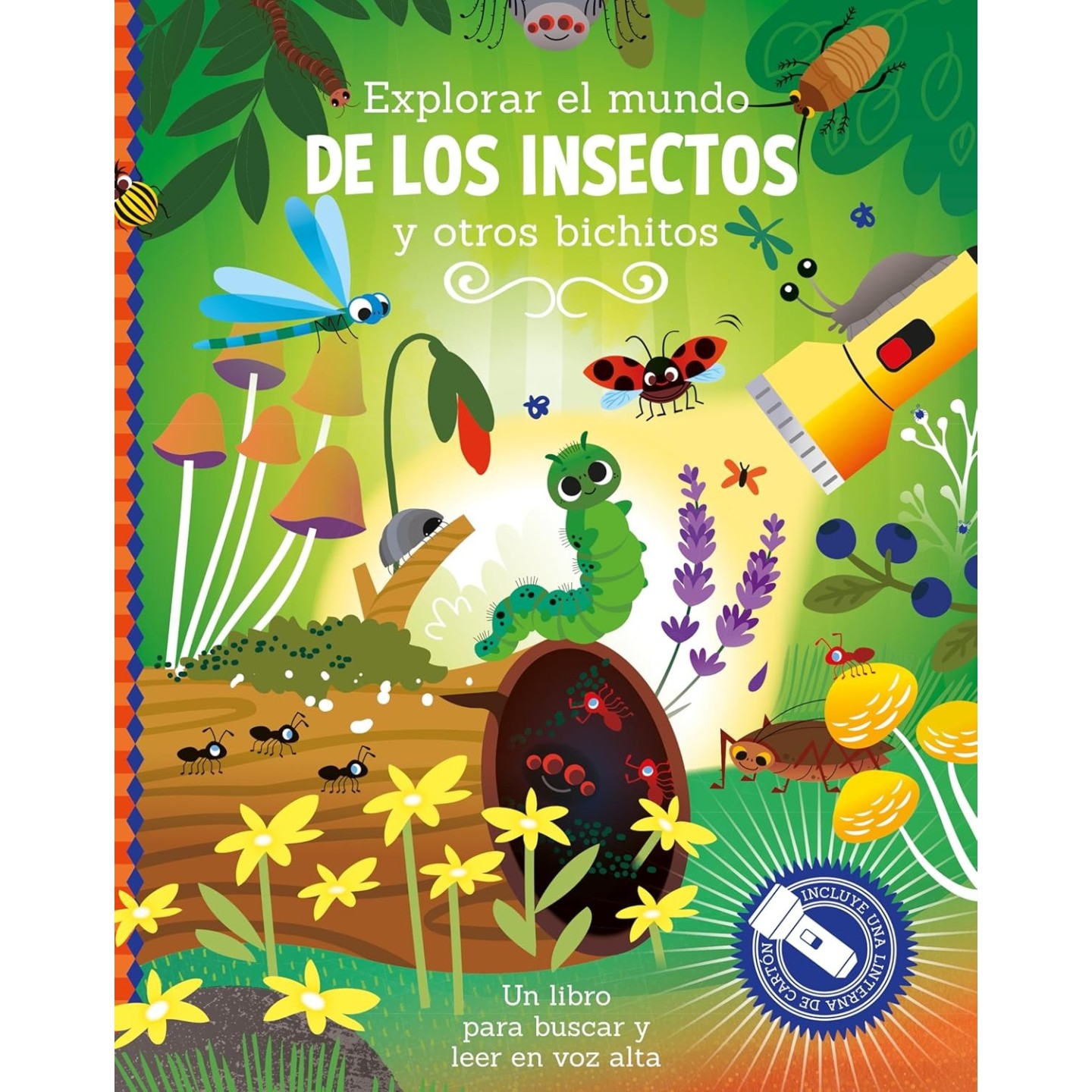 Explorar el mundo de los insectos y otros bichitos