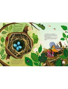 Pequeñas historias de la naturaleza 2
