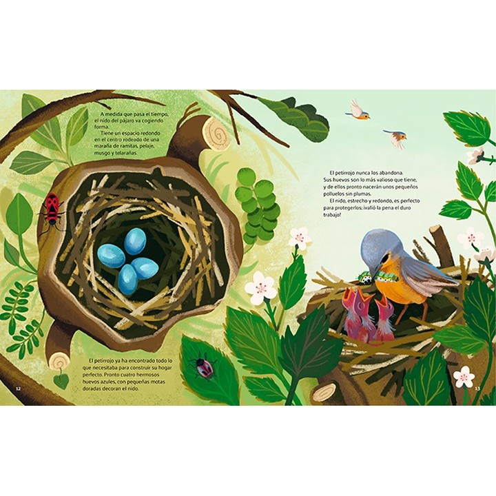 Pequeñas historias de la naturaleza