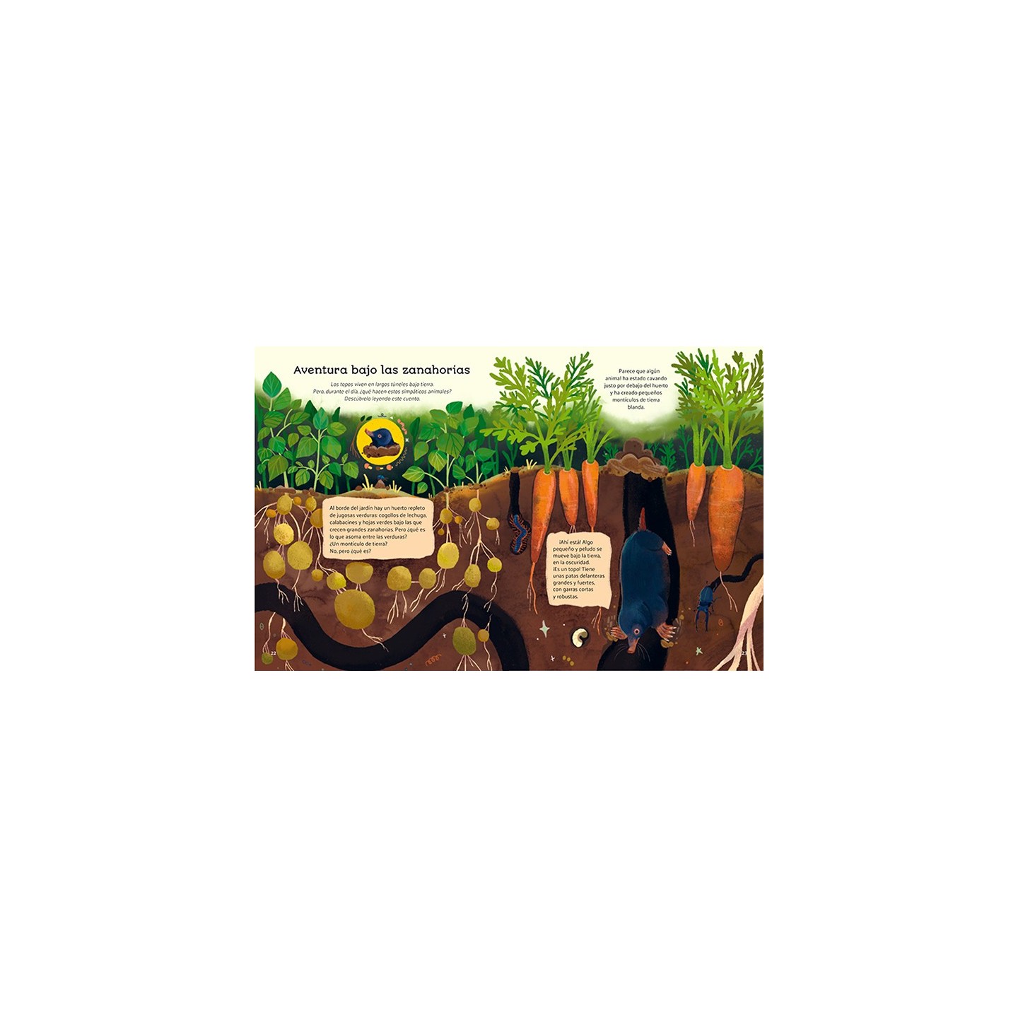 Pequeñas historias de la naturaleza