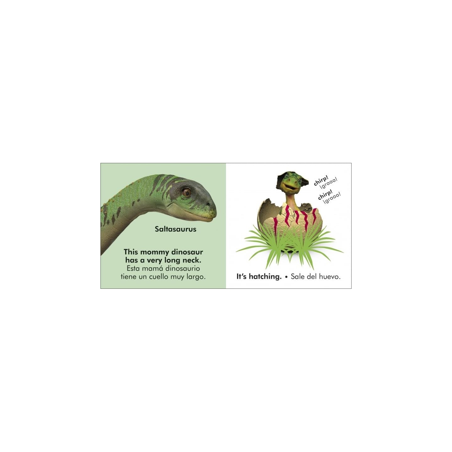 Toca y aprende - Pequeños dinosaurios
