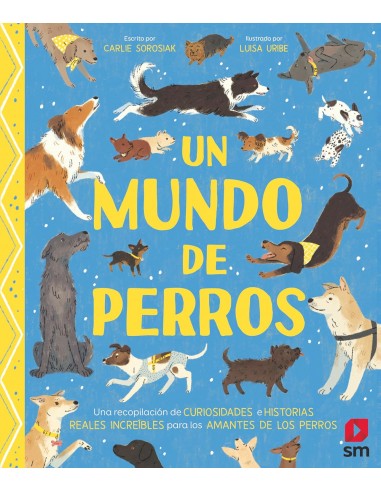 Un mundo de perros