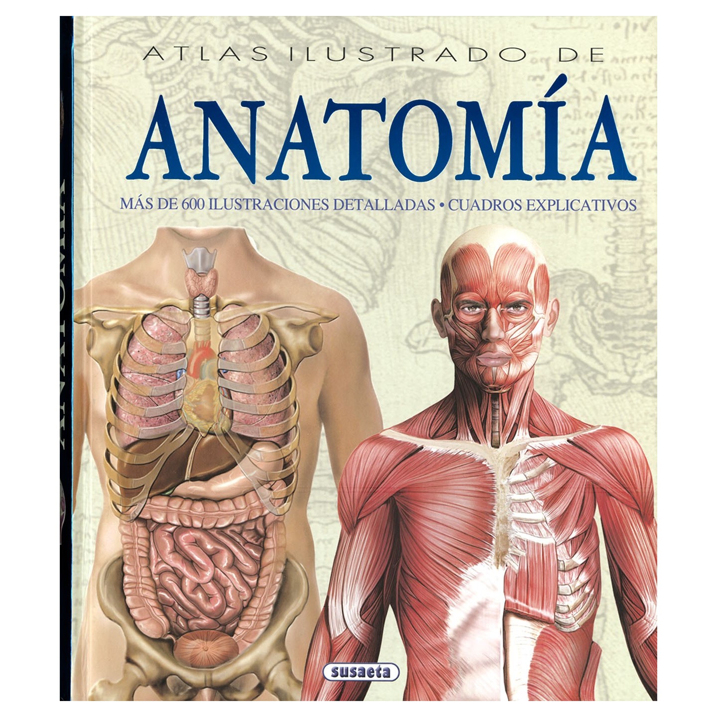 Atlas Ilustrado de Anatomía