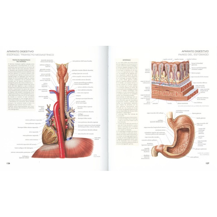 Atlas Ilustrado de Anatomía