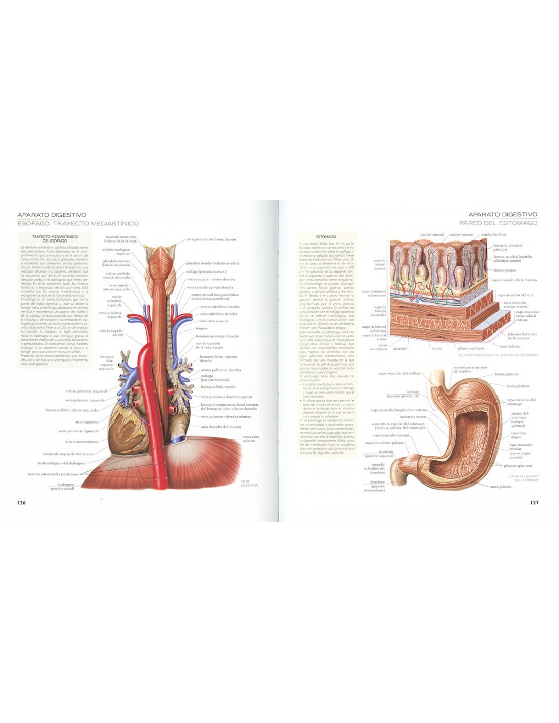 Atlas Ilustrado de Anatomía