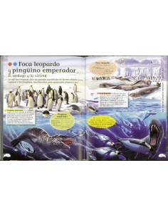 Animales del mar 2