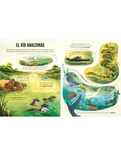 De viaje por el Amazonas con Solapas 2