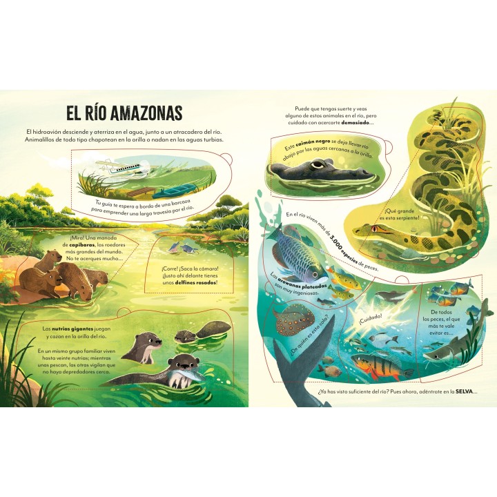 De viaje por el Amazonas con Solapas