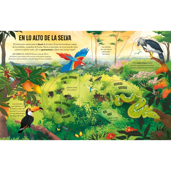 De viaje por el Amazonas con Solapas