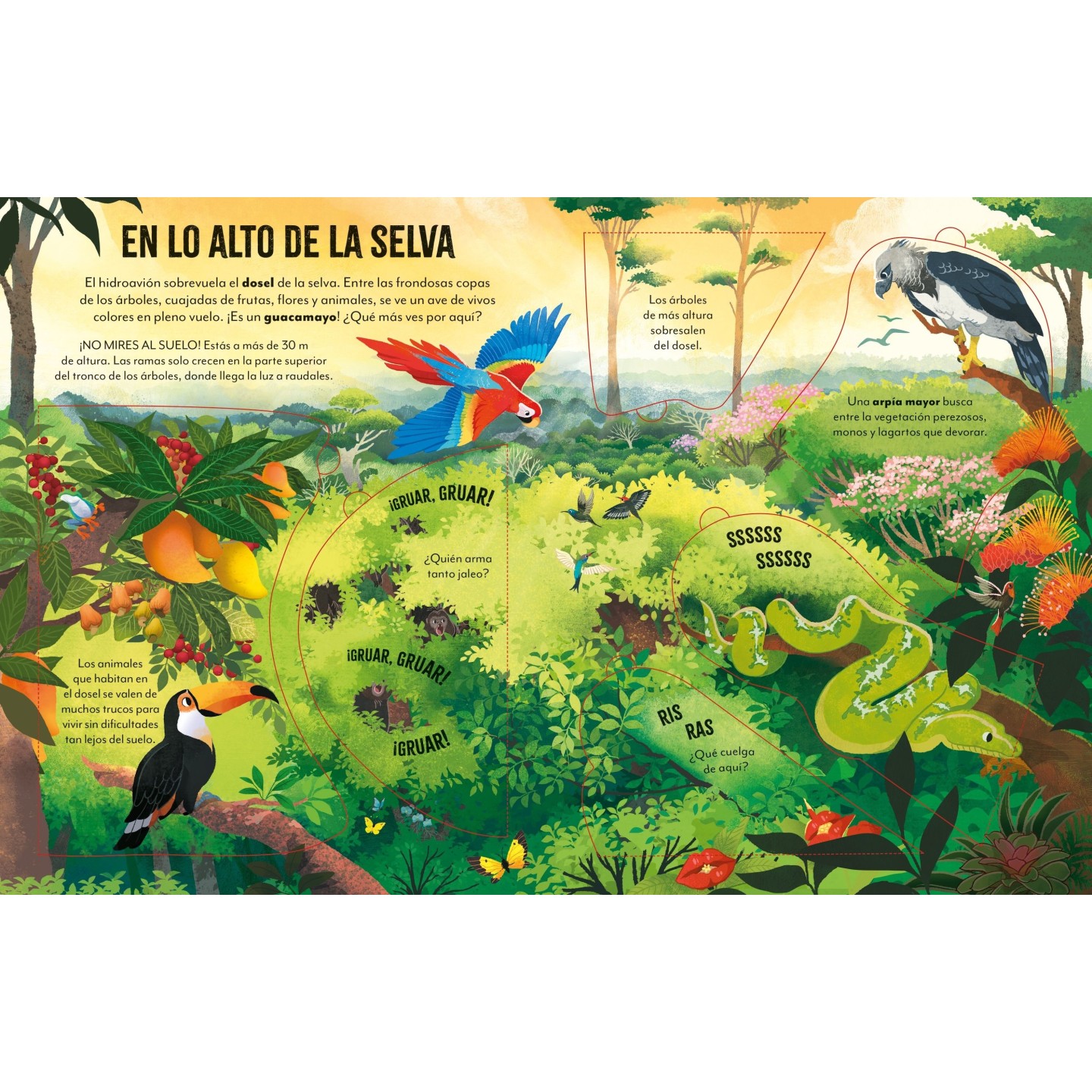 De viaje por el Amazonas con Solapas