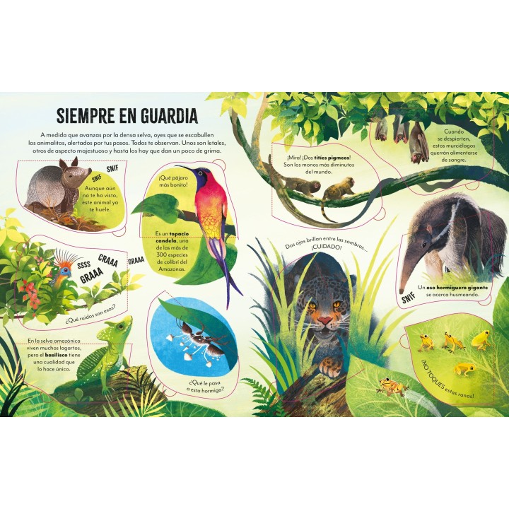 De viaje por el Amazonas con Solapas