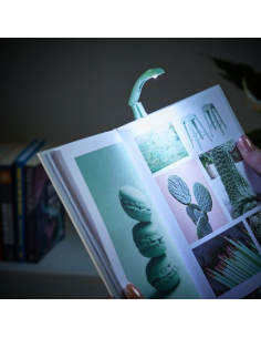 Lámpara de Lectura Tiny Verde Bosque 2