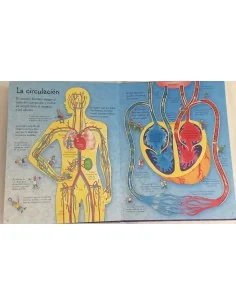 Conoce por dentro tu cuerpo 2