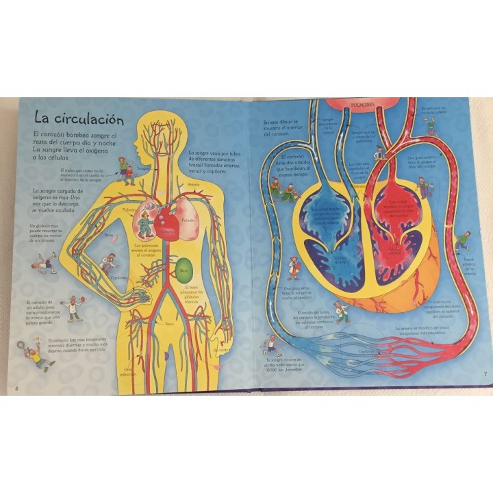 Conoce por dentro tu cuerpo
