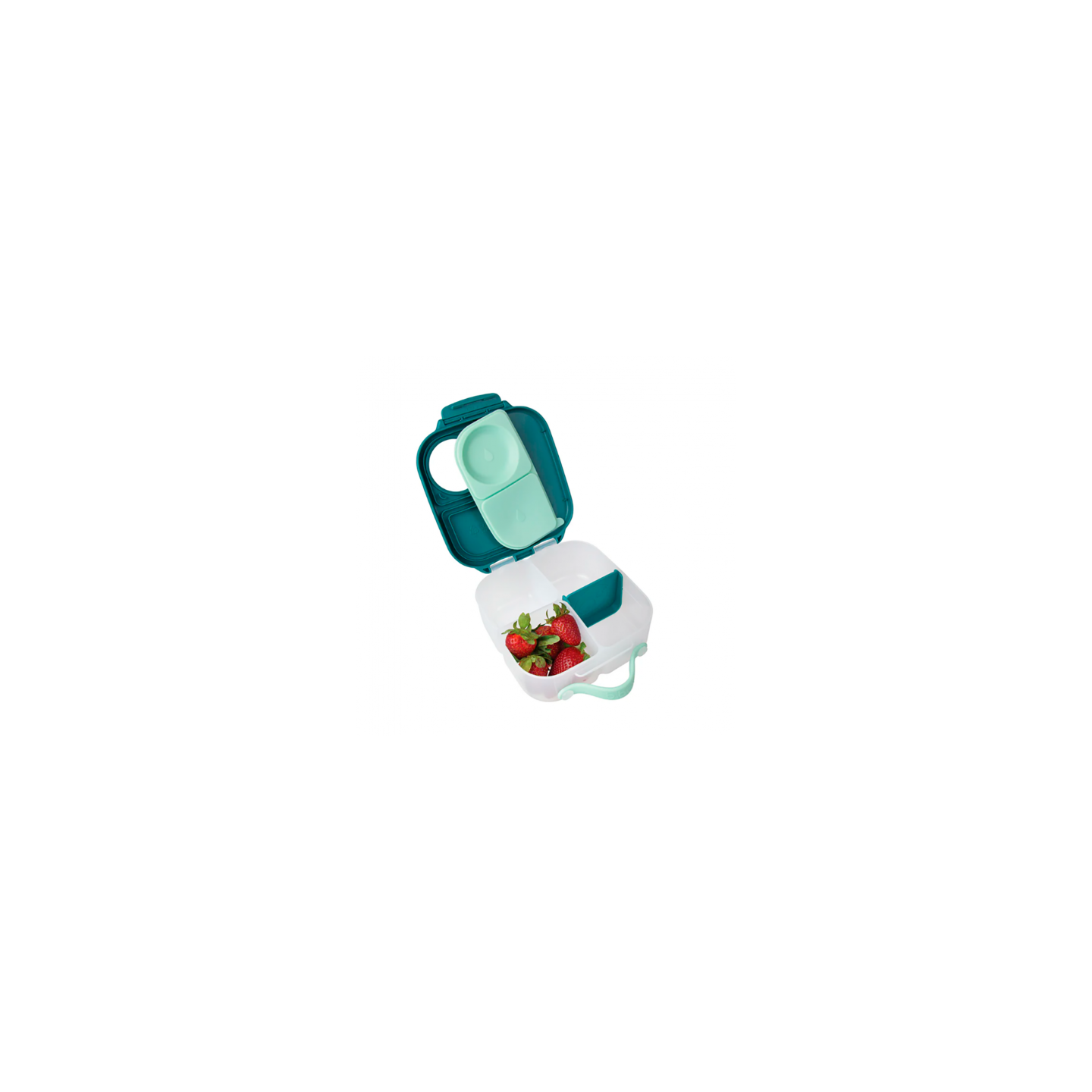 Mini caja almuerzo - Emerald Forest