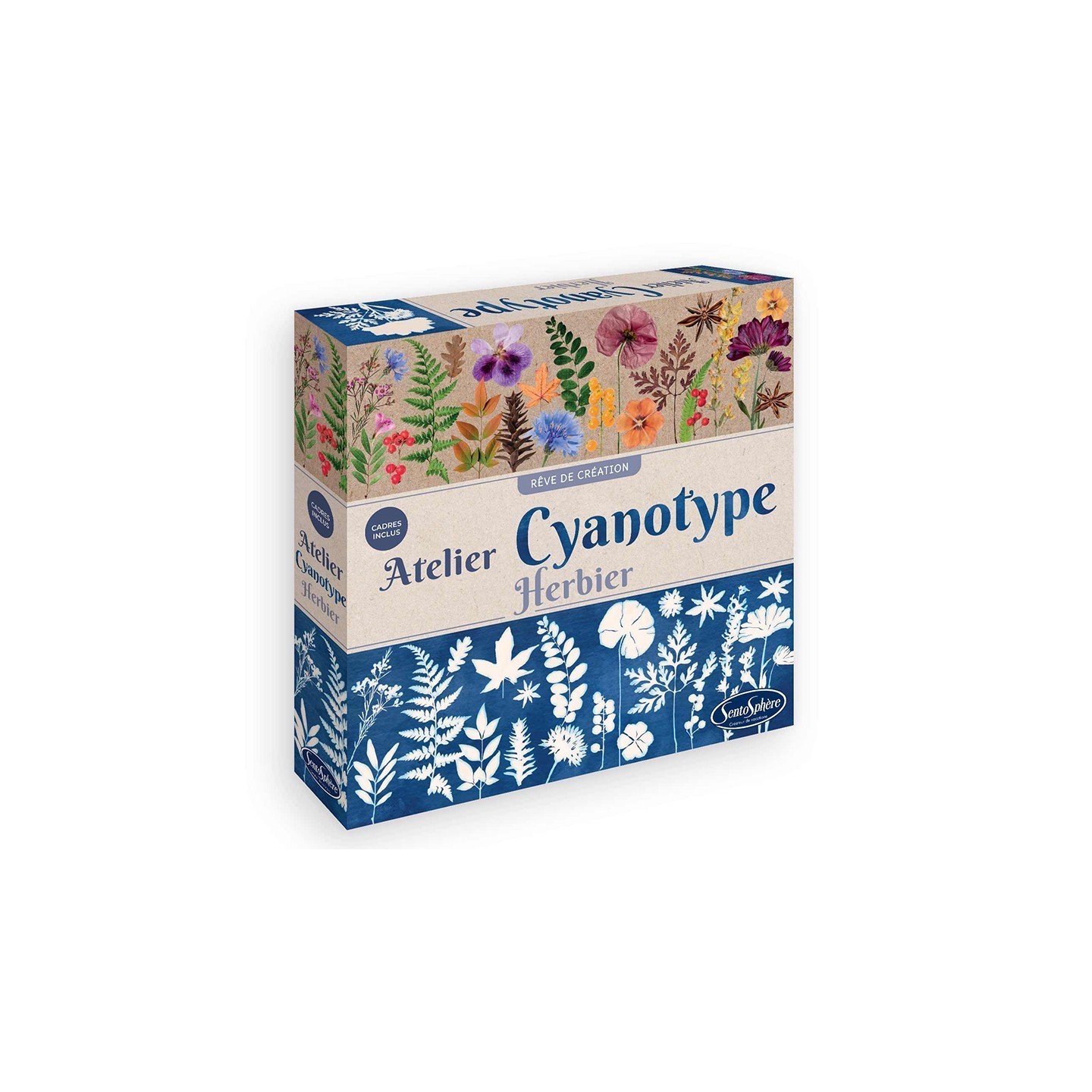 Kit de Cianotipia Herbaria