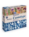 Kit de Cianotipia Herbaria
