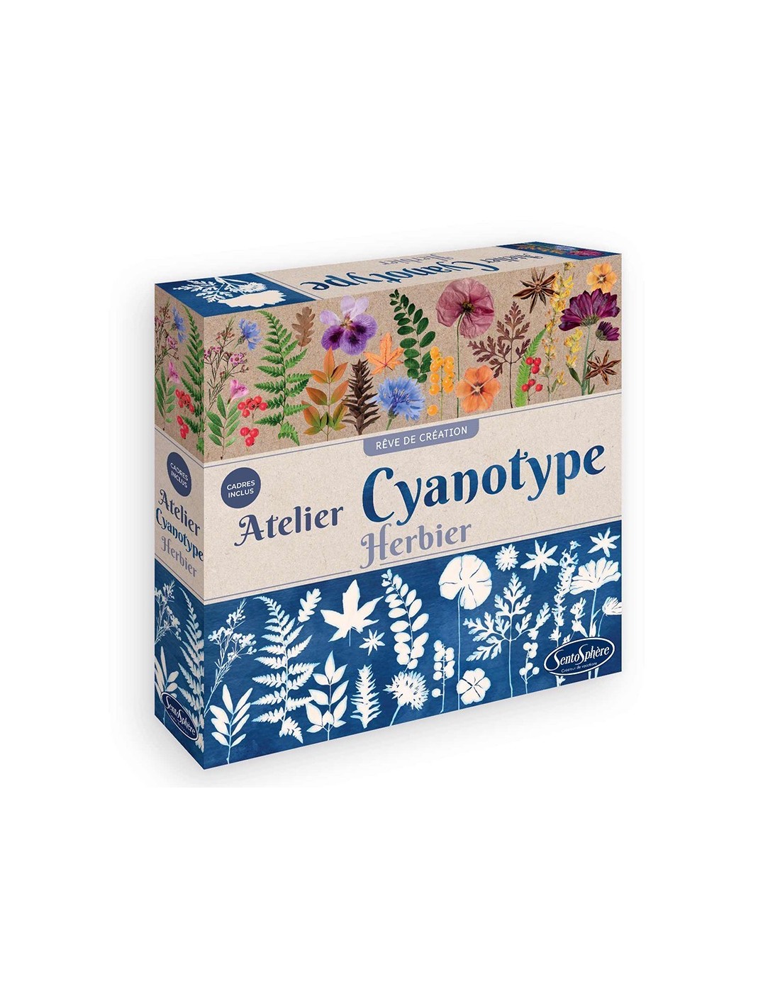 Kit de Cianotipia Herbaria