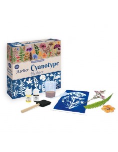 Kit de Cianotipia Herbaria 2
