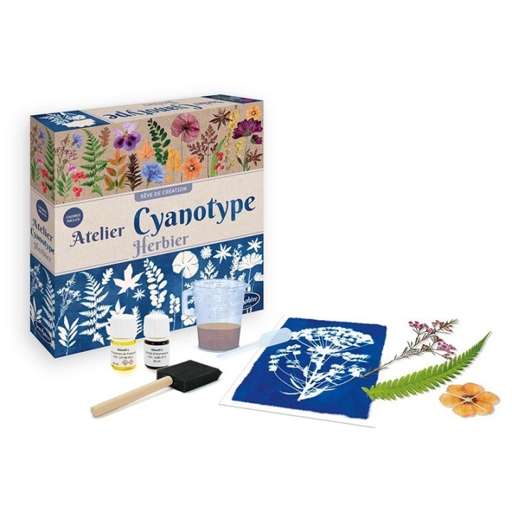 Kit de Cianotipia Herbaria
