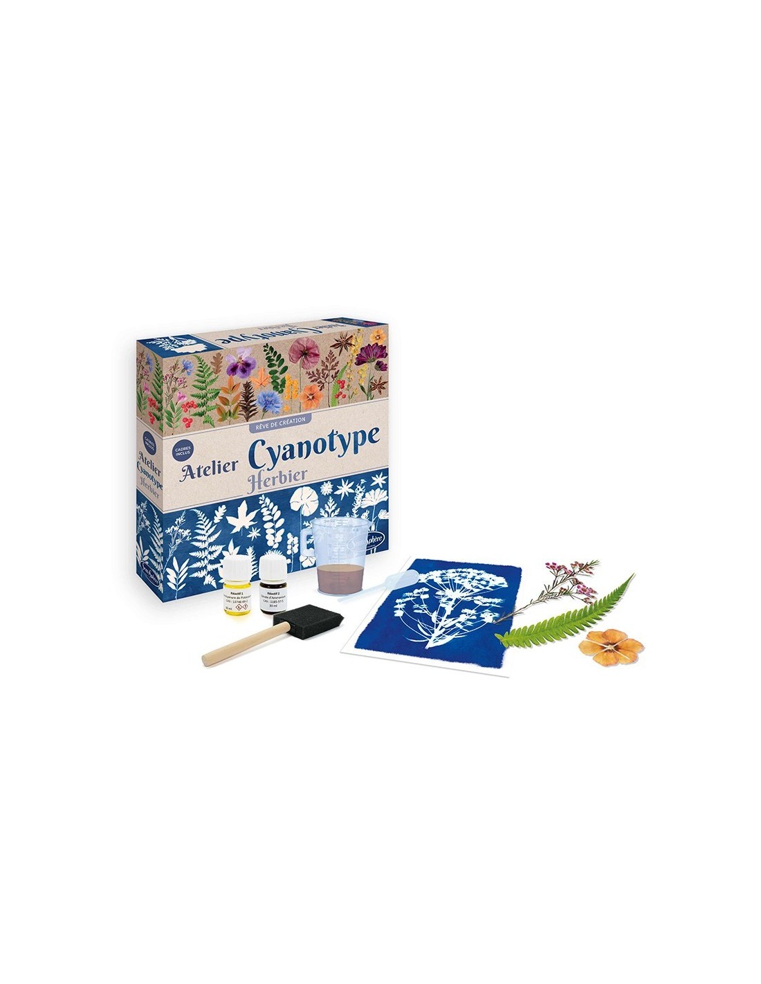 Kit de Cianotipia Herbaria